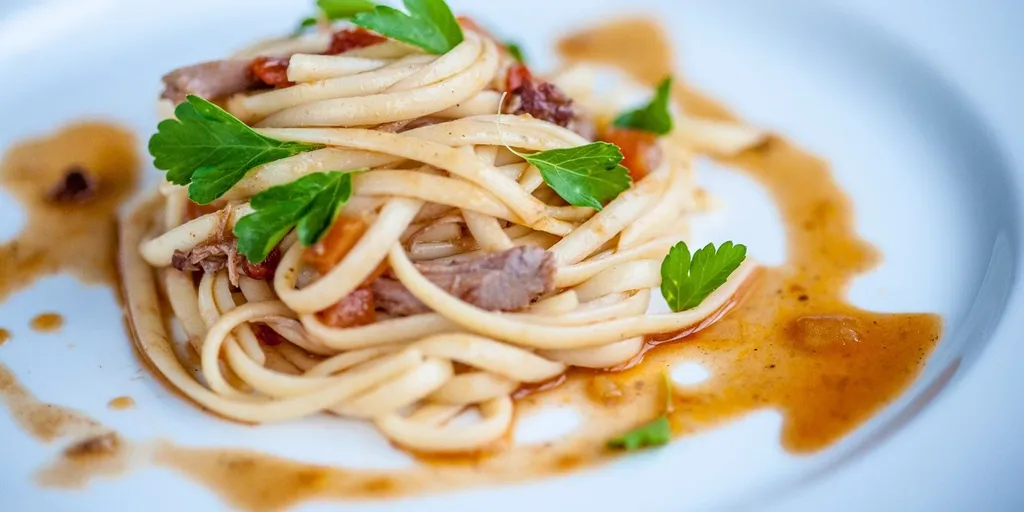 Slow cooked turkey ragu